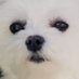 Noelle ๐ณ๏ธโโง๏ธ๐บ๐ธ๐บ๐ฆ๐๐๏ธ๐ฅฅ๐ด (@nixandnoelle) Twitter profile photo Noelle ๐ณ๏ธโโง๏ธ๐บ๐ธ๐บ๐ฆ๐๐๏ธ๐ฅฅ๐ด (@nixandnoelle) Twitter profile photo