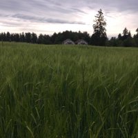 Locality Brewing (@localitybrewing) 's Twitter Profile