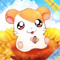 貧困 (@quickdirty) 's Twitter Profile