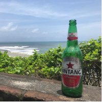 billimachado (@billimachado) 's Twitter Profile