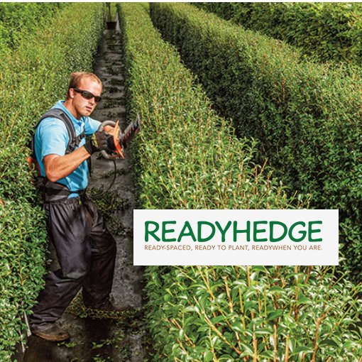 READYHEDGE – growers & suppliers of quality instant hedging and screening