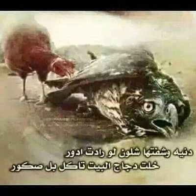 #الدنيـــه توجــع 😔✋
لو رحـل #عنــك #عزيز 🔙
تبقــى صافــن #ﭼــن ⁉️
اخـذ منـك #عمــــر 💔