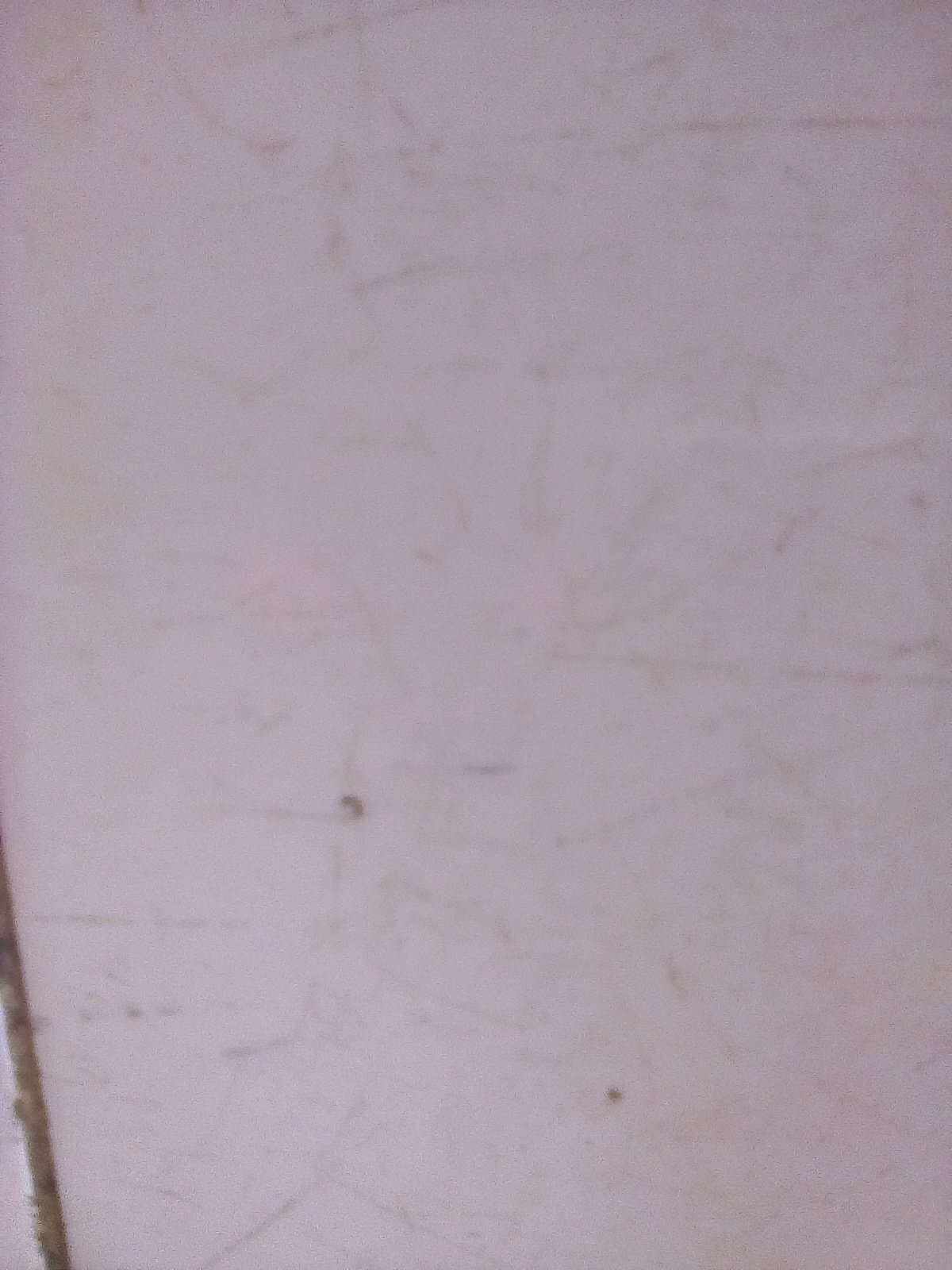 mwausbencon's profile picture. Go getter