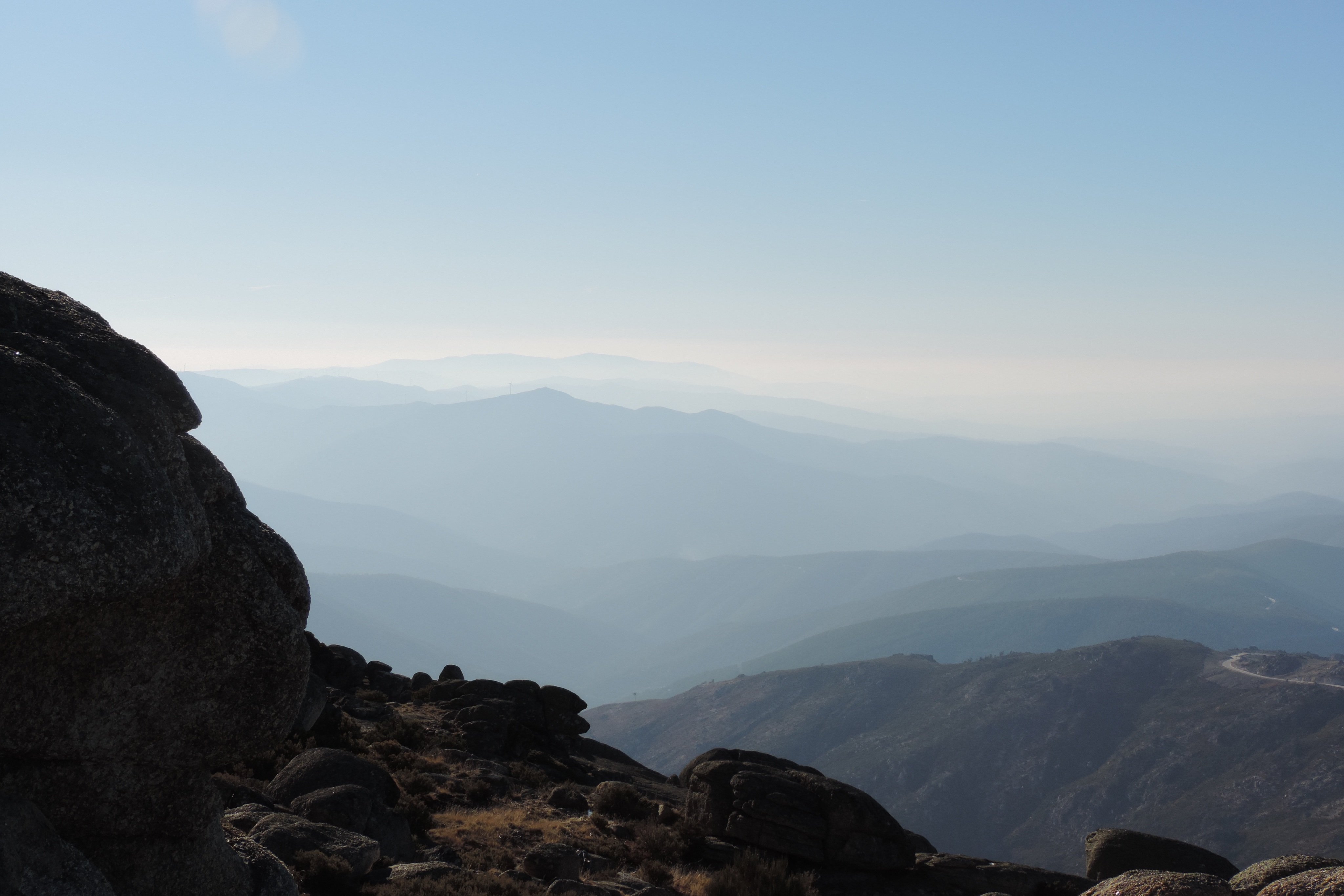 LCamillo2's profile picture. 