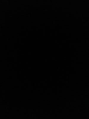 OctavioPlascen1's profile picture. 