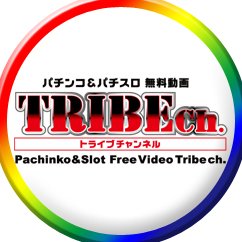 TRIBE_ch Profile Picture