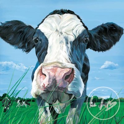 I’m Lauren, artist behind Lauren’s Cows. The Cows that make you smile!