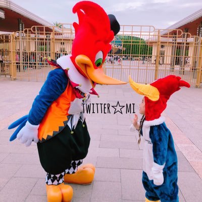 39Sarry's profile picture. ♡usj 大好き♡