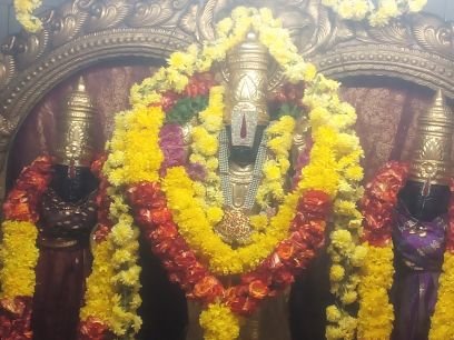 Tharun61298541's profile picture. 