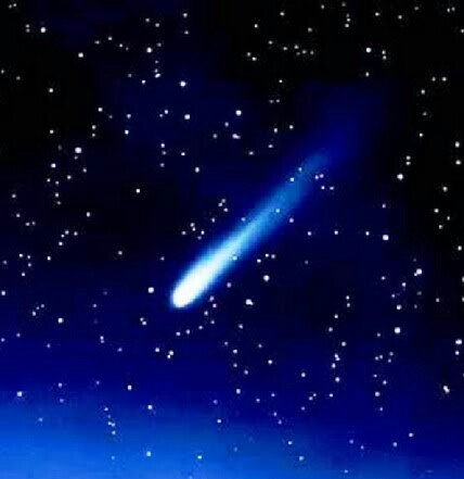 Skyfire 🐦🐡さんのプロフィール画像