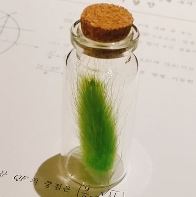 대한민국 사는 스윙보터 民초🥬 파시즘은 이젠 진절머리 난다🍃 너랑 내가 생각이 어떻게 같겠니🤏🫠더불당 부역자 도태한녀=한남 =재기바람🙏김진송 부고소식 들려오길🙏 #페이강간은노동이될수없습니다☹️ 짭페미,꿘충 아웃
