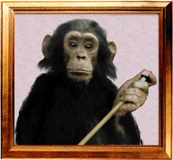 btoneill's profile picture. Consummate Computer Geek