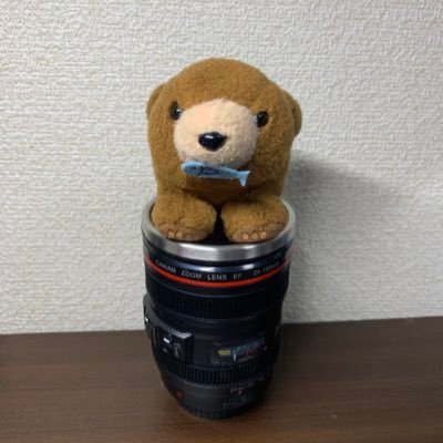 🏸🧗/vfkサポーター/ソウルレッドクリスタルメタリック/ゴンちゃんは相棒/梨響2ndVn