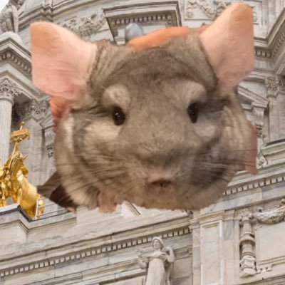 Your source for the deets on any animals visiting the #mnleg!  DM us tips to help us spread joy.