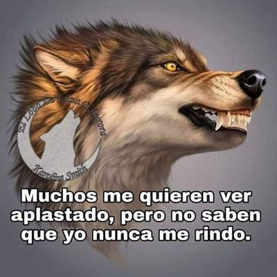 No te importa