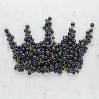 CurraNZ Sport (@curranzsport) 's Twitter Profile Photo CurraNZ Sport (@curranzsport) 's Twitter Profile Photo