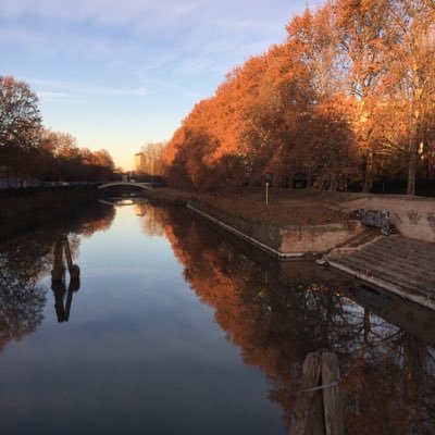 Matti989's profile picture. 