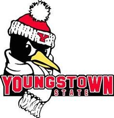 This is the official page for the Youngstown State University CAATE Accredited Master of Athletic Training Program