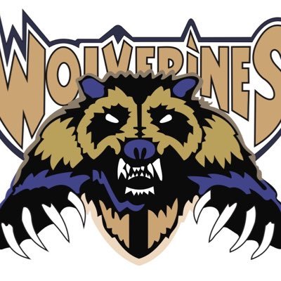 Wolverhampton Wolverines; the city's only Aussie Rules Football Club. Established 2009. Get in touch to get involved! Proud to support @BallsToCancer #WNSD