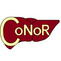 CoNoR Study (@conor_study) 's Twitter Profile