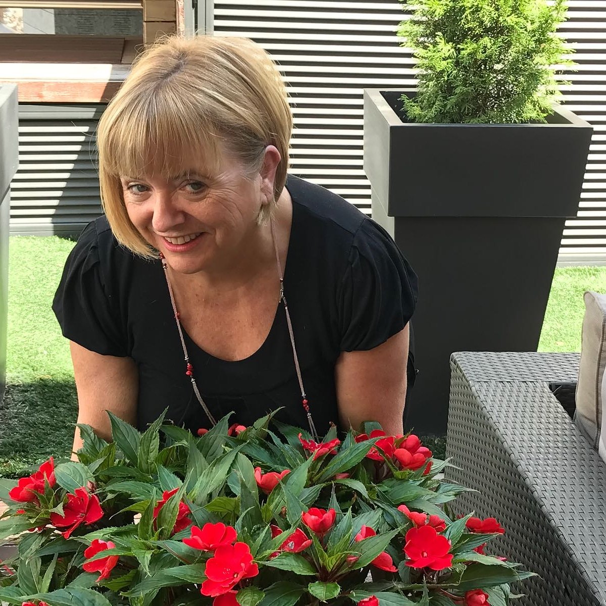 somnidelluna's profile picture. 