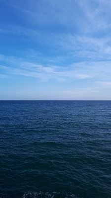 sg_marcel's profile picture. 