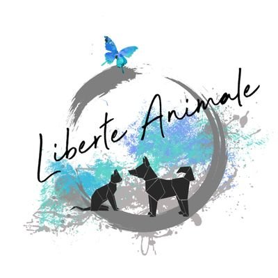 #association #protectionanimale #animaux #chiens #chats #nacs ~ Facebook : https://t.co/ZNxdfEirMD ~ Instagram : liberteanimale