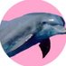 no (@soynormalvale) Twitter profile photo no (@soynormalvale) Twitter profile photo