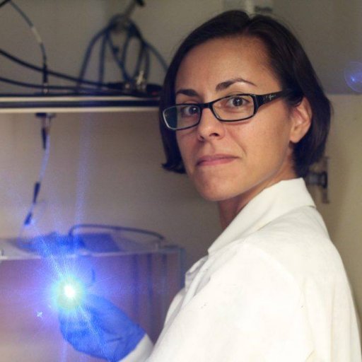 Asst prof @KSUPsychSci; PD in Quirk lab @rcmupr 🇵🇷, PhD in Romanski lab @UofR #newpi #womeninSTEM