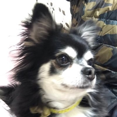 Zzwq9YwKJtRAcUh's profile picture. 