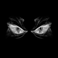 Nullusion (@nullusiun) 's Twitter Profile