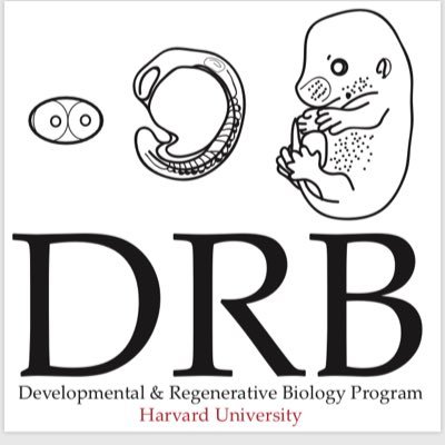 The unofficially official account of the Harvard Developmental and Regenerative Biology Program - focused on stem cells, dev bio, and the people who study them