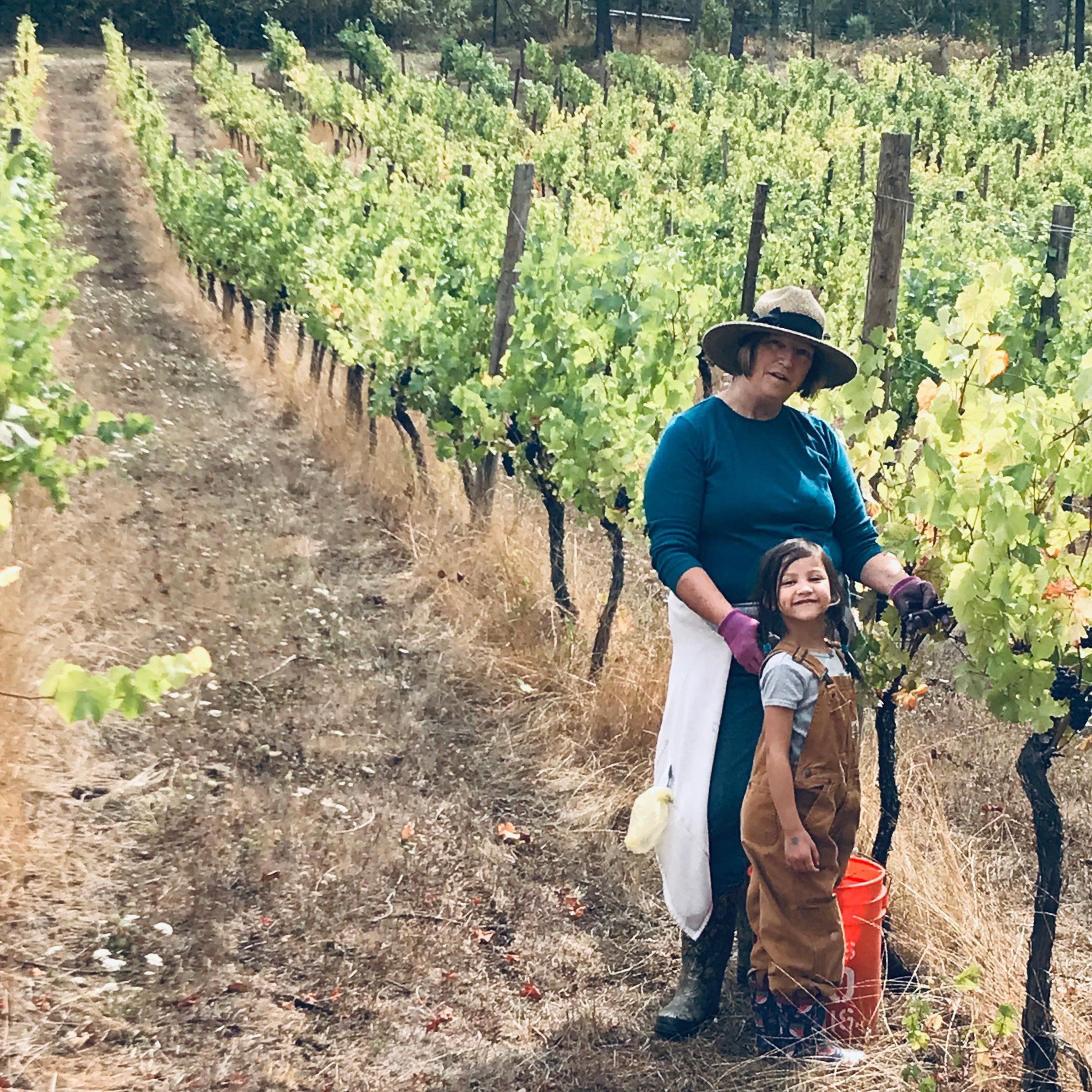 Small family vineyard outside Eugene, OR https://t.co/aYzkeXbNLC making Willamette Valley Pinot Noir https://t.co/PpUaVBGYqx