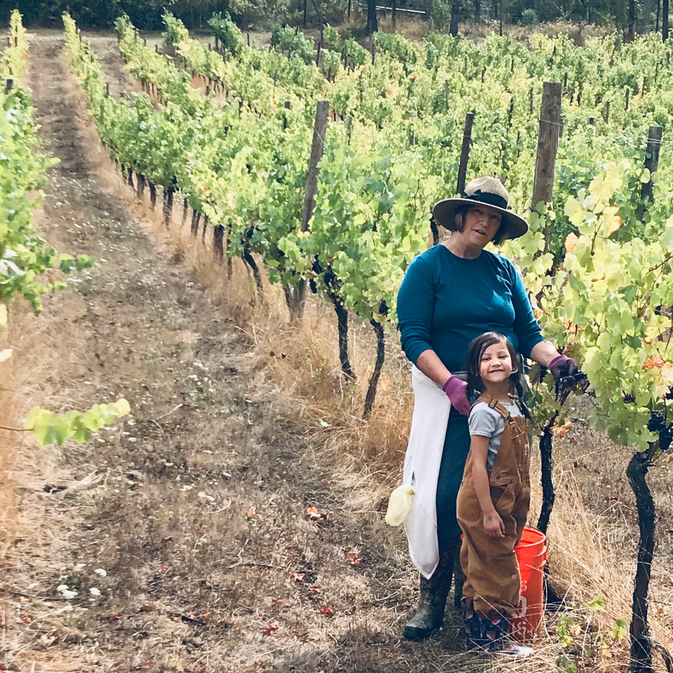 Small family vineyard outside Eugene, OR https://t.co/aYzkeXbNLC making Willamette Valley Pinot Noir                 https://t.co/PpUaVBGYqx