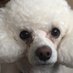 Judy David (@judydav70536792) Twitter profile photo Judy David (@judydav70536792) Twitter profile photo