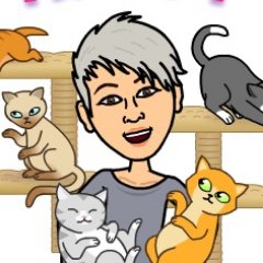 jtso23's profile picture. 