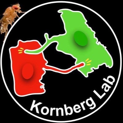 TKornbergLab Profile