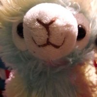 🔍🦙 Crime Solving Alpaca 😈(@Lucipaca) 's Twitter Profile Photo