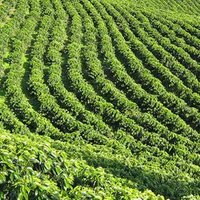 echenojo (@echenojo) 's Twitter Profile