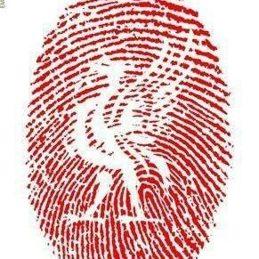 Fans Lfc since 1980.
#Liverpoolfc #YNWA
Reds 4ever !!!