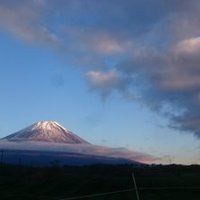 奈良乃橋至 (@narahashiitaru) Twitter profile photo