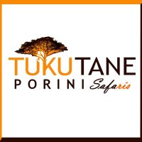Travel with Tukutane Porini Safaris(@tukutaneporini) 's Twitter Profile Photo