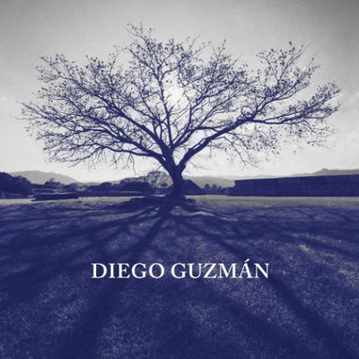 Diego Guzmán (VSTDiego) Twitter