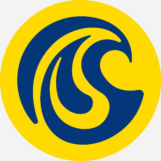 @SurgeLeadership