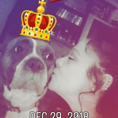 My 7 Pitties & Mastiff r the loves of my life! Pit Bull advocate & animal rescuer! Rescuing & saving innocent lives! I'M THEIR VOICE ALWAYS! ADFC st. mgr. NM