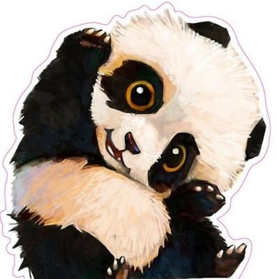 xunan0403's profile picture. 