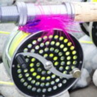Noel Gyger (@guided_fishing) 's Twitter Profile Photo