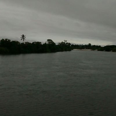 davidss1289's profile picture. 