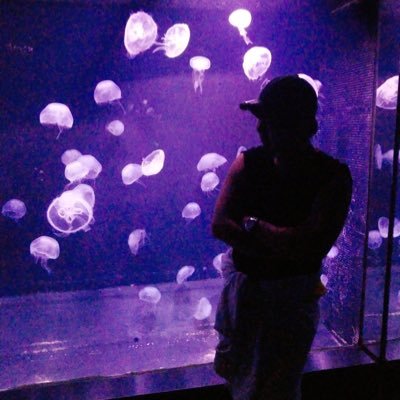エクバ2少将/アケフェス/💮花丸組💮裏ボス/日向坂/競馬/PN.ごりたっけ