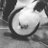KKirneh_'s profile image